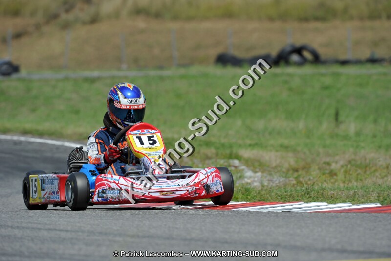 DSC_ (439).jpg